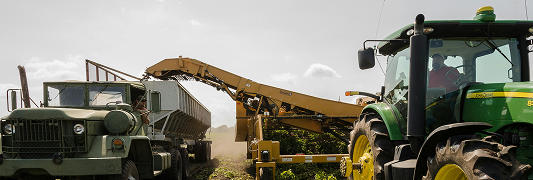 Capacidades productivas