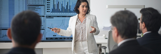 Articulación institucional