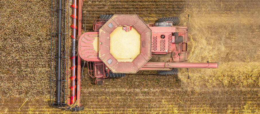 Datos y estadísticas agrarias