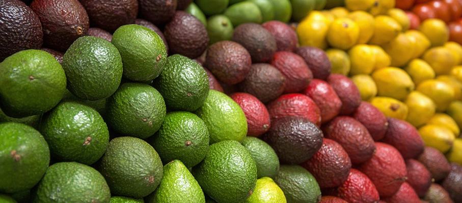 Clasificación nacional de productos agrarios (CNPA)